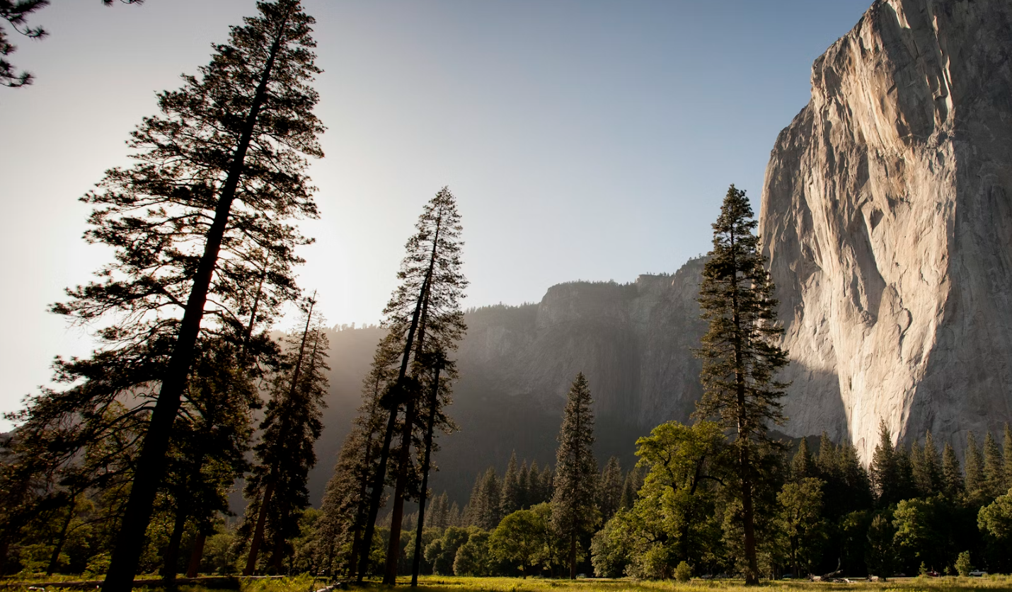 Essential Car Camping Gear: The Ultimate Checklist for Comfort